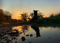 Sonnenaufgänge oder - untergänge-Beitrag-Bild