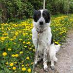 Ersteller:in Do Profilbild