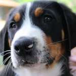 Ersteller:in Sandra Profilbild