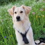 Ersteller:in Jasmin Profilbild