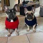 Ersteller:in Vanessa Profilbild