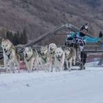 Ersteller:in Iris Profilbild