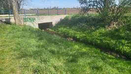 Hundeauslaufgebiet-Flora Park Acker-Bild