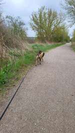 Hundeauslaufgebiet-Flora Park Acker-Bild