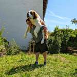 Ersteller:in Adrian Profilbild