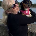 Ersteller:in Tina Profilbild
