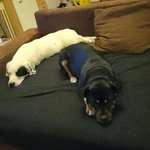 Ersteller:in Stefanie Profilbild