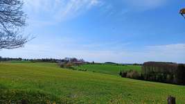 Hundeauslaufgebiet-Waldgebiet Bilsteiner Berge-Bild