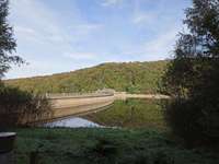 Hundeauslaufgebiet-Hasper Talsperre-Bild