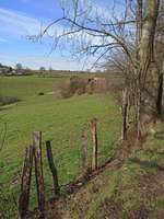 Hundeauslaufgebiet-Waldgebiet Bilsteiner Berge-Bild