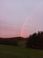 Hundeauslaufgebiet-Waldgebiet Bilsteiner Berge-Bild
