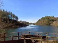 Hundeauslaufgebiet-Hasper Talsperre-Bild