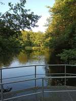 Hundeauslaufgebiet-Hasper Talsperre-Bild