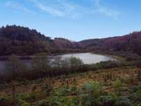 Hundeauslaufgebiet-Hasper Talsperre-Bild