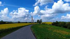 Hundeauslaufgebiet-Waldgebiet Bilsteiner Berge-Bild