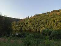 Hundeauslaufgebiet-Hasper Talsperre-Bild