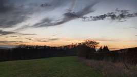 Hundeauslaufgebiet-Waldgebiet Bilsteiner Berge-Bild