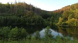 Hundeauslaufgebiet-Hasper Talsperre-Bild