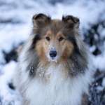 Ersteller:in Jessica Profilbild