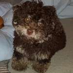 Ersteller:in Tanja Profilbild