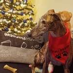 Ersteller:in Sarah Profilbild