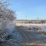 Hundeauslaufgebiet-Felder Pesterwit,hinter Reiterhof.-Bild