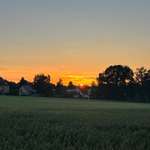 Hundeauslaufgebiet-Felder Pesterwit,hinter Reiterhof.-Bild