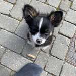 Ersteller:in Angelique Profilbild