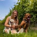 Ersteller:in Sina Profilbild