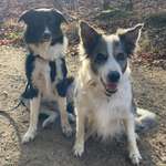 Ersteller:in Jessie Profilbild