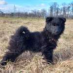 Ersteller:in Kristina Profilbild