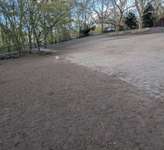 Hundeauslaufgebiet-Lichterfelde Barnackufer-Bild