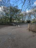 Hundeauslaufgebiet-Lichterfelde Barnackufer-Bild