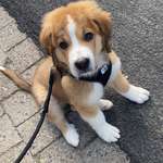 Ersteller:in Rub Profilbild