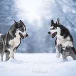 Ersteller:in Melina Profilbild