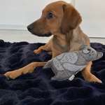 Ersteller:in Vier Profilbild