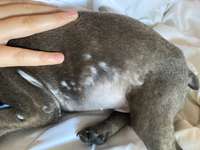 Kahle Stellen.-Beitrag-Bild