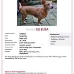 Suchmeldung-Elisa-Bild