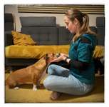 73. Gemeinsames Tricktraining: Kopf in die Hände legen & Anschauen-Beitrag-Bild