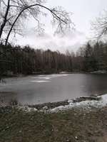 Hundeauslaufgebiet-Schloss Fasanerie-Bild