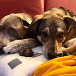 Ersteller:in Julia Profilbild