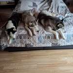 Ersteller:in Stefan Profilbild