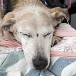 Ersteller:in Helga Profilbild