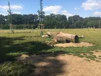 Hundeauslaufgebiet-Hundefreilauf Borken-Bild