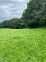 Hundeauslaufgebiet-Steinfurths Diek-Bild