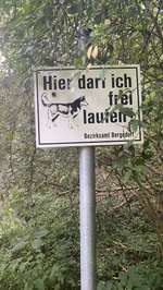 Hundeauslaufgebiet-An der Kreisbahn-Bild