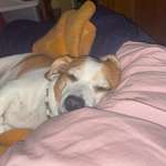 Ersteller:in Christian Profilbild