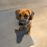 Ersteller:in Ma Profilbild