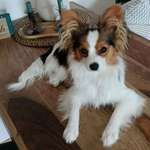 Ersteller:in Silvia Profilbild