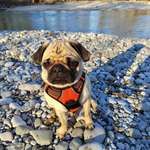 Ersteller:in N Profilbild